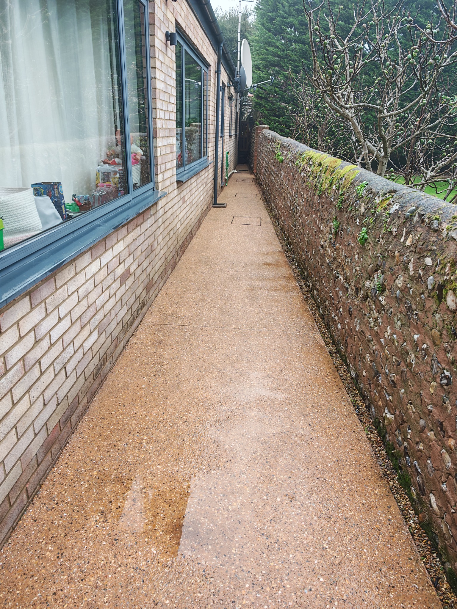 Clean exterior walkway beside a home